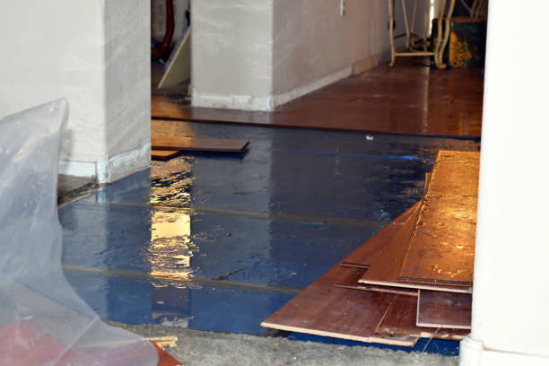 Professional Burst Pipe Cleanup technician working in Sutherland Springs, TX